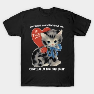 Everything You Heard About Me Is True Especially The Gay Stuff T-Shirt